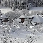 Apartment Aufbluehen In Menzenschwand St. Blasien