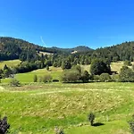 Apartment Aufbluehen In Menzenschwand