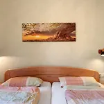 Apartment Aufbluehen In Menzenschwand
