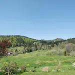 Aufbluehen In Menzenschwand St. Blasien