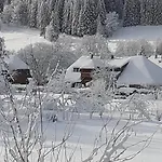 Aufbluehen In Menzenschwand *