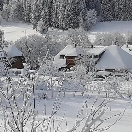 Apartment Aufbluehen In Menzenschwand