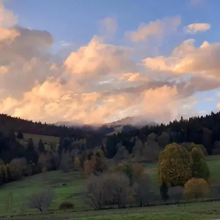 Aufbluehen In * Menzenschwand