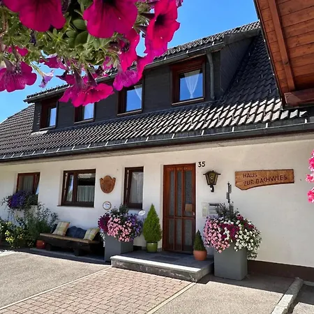 Apartment Aufbluehen In *