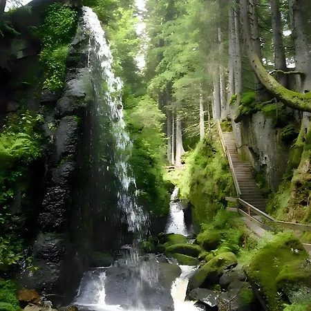 דירה Aufbluehen In סאן בלאסיין