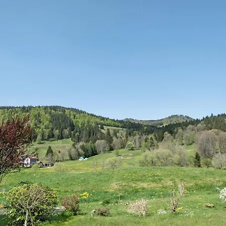 Aufbluehen In סאן בלאסיין