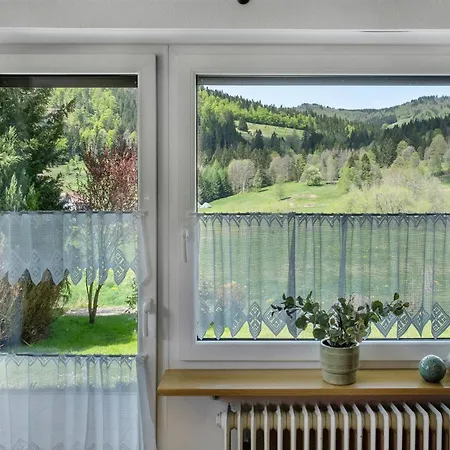 Aufbluehen In דירה סאן בלאסיין