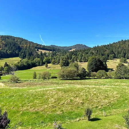 Gaestehaus Bachwies Sankt Blasien